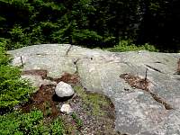 dsc03662.jpg