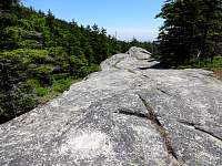 dsc03678.jpg