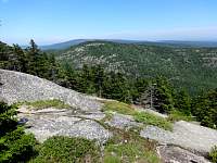 dsc03680.jpg