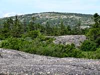 dsc03737.jpg