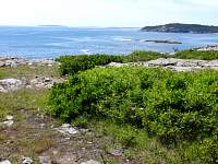 dsc03766.jpg