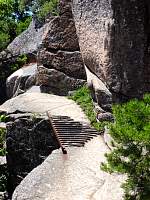 dsc03779.jpg