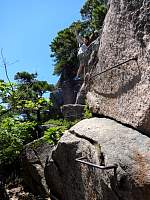 dsc03782.jpg