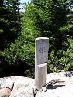 dsc03794.jpg