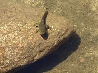 dsc03804.jpg