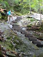 dsc03951.jpg