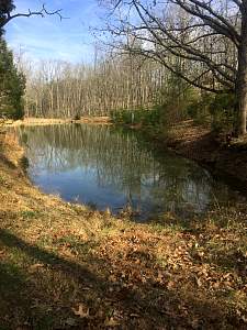 img_7583.jpg