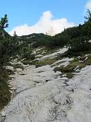 img_1614.jpg