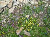 img_5055.jpg