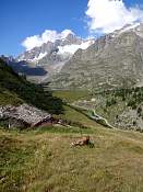 DSC00178.jpg
