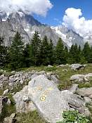 DSC00250.jpg