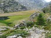 DSC00391.jpg