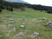 DSC00515.jpg