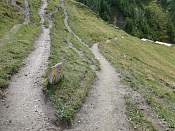 DSC00568.jpg