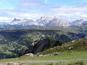 DSC01222.jpg