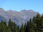 DSC02316.jpg