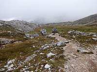 dsc06772.jpg
