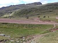 dsc08804.jpg