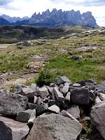 dsc08848.jpg