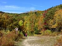 dsc06949.jpg