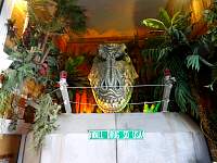 dsc02770.jpg