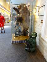 dsc02773.jpg
