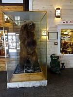 dsc02774.jpg