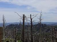 dsc02939.jpg