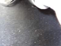 dsc03059.jpg