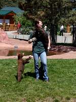 dsc03135.jpg