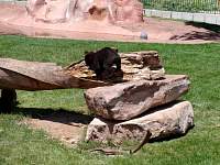 dsc03159.jpg