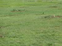 dsc03258.jpg