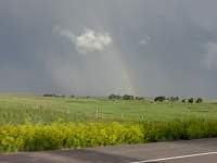 dsc03300.jpg