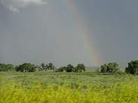 dsc03301.jpg