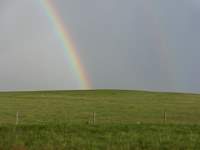 dsc03303.jpg