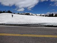 dsc03328.jpg