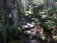 dsc06853.jpg