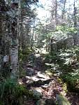 dsc06854.jpg