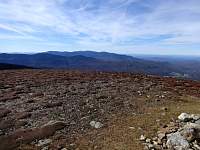 dsc06914.jpg