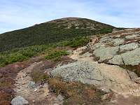 dsc06925.jpg
