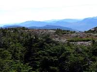 dsc06928.jpg
