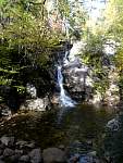 dsc06941.jpg
