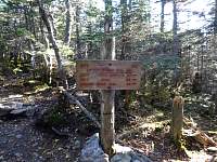 lgdsc06896.jpg