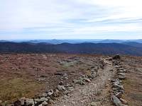lgdsc06918.jpg