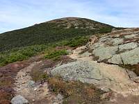 lgdsc06925.jpg