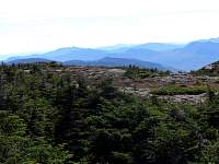 lgdsc06928.jpg