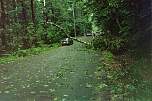 150img008.jpg