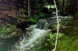 179img024.jpg