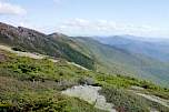 185img006.jpg