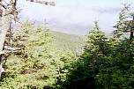191img017.jpg